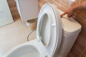 Pourquoi verser le liquide vaisselle dans les toilettes?