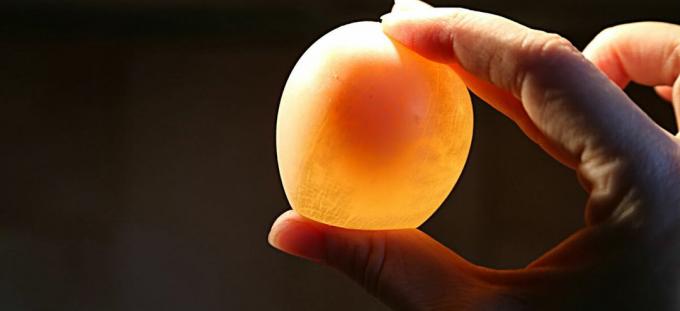 Egg - oeuf
