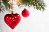 Le projet de loi sur l'arbre, et le Nouvel An auront 9 plus de bonheur et de la chance