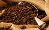Comment sélectionner les meilleurs grains de café?