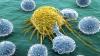Comment la nature aide à combattre le cancer