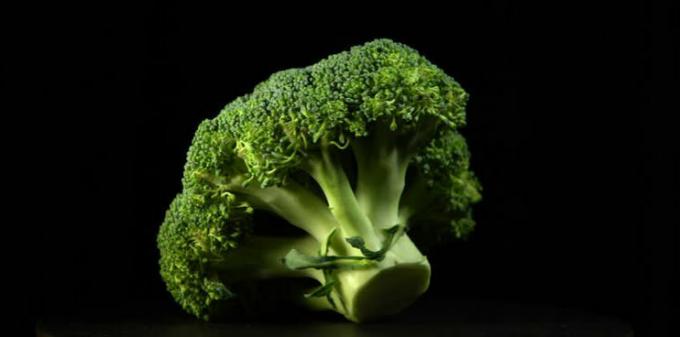 Le brocoli - brocoli