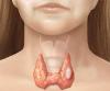 Les nœuds de la glande thyroïde: il est possible que vous ne pouvez pas?