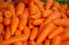 Aliments complémentaires pour enfants: comment introduire les carottes dans l'alimentation des enfants
