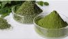 Moringa - une plante qui évite les problèmes de santé!