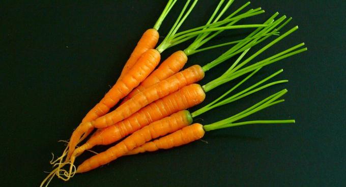 Les carottes - carotte