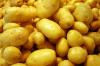 Guide de choix de pommes de terre Roskachestva