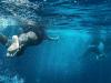 5 mythes sur la noyade, ce qui peut coûter une personne de leur vie