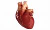 3 principaux facteurs qui causent les maladies cardiaques