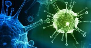 Virus: comment notre corps combat contre eux?