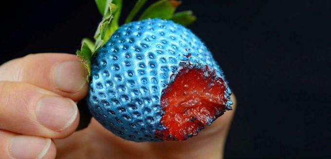 Fraises - fraise