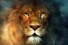 12 caractéristiques des Lions, pour que vous les aimez