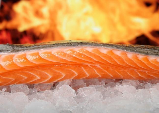 oméga-3 préféré - de la viande de saumon sauvage. Mais où le prendre?)