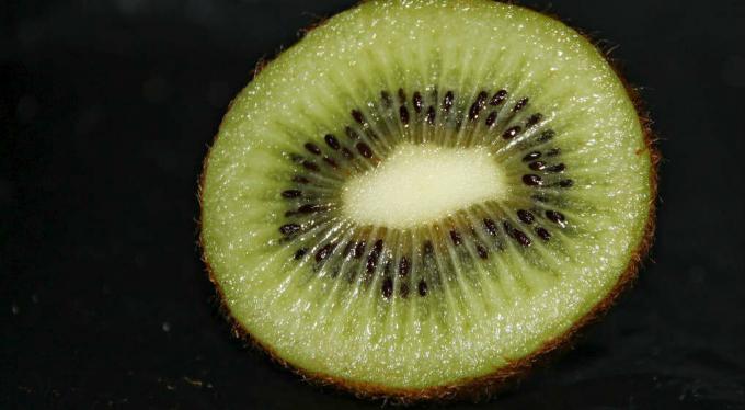 Kiwi fruits - kiwi