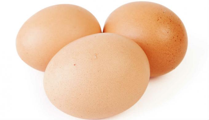 œufs
