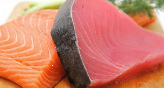 la viande de thon (droite) et les poissons de la famille de saumon (à gauche) - le thon et la viande de poisson de saumon