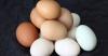 Le mythe des dissipés les œufs des méfaits controversés