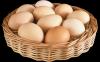 10 des propriétés des œufs. Le mythe de leur nuisibilité