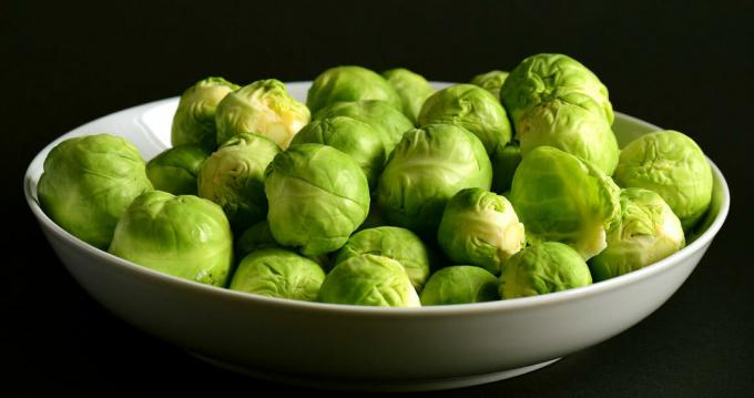 Bruxelles - brussels sprout