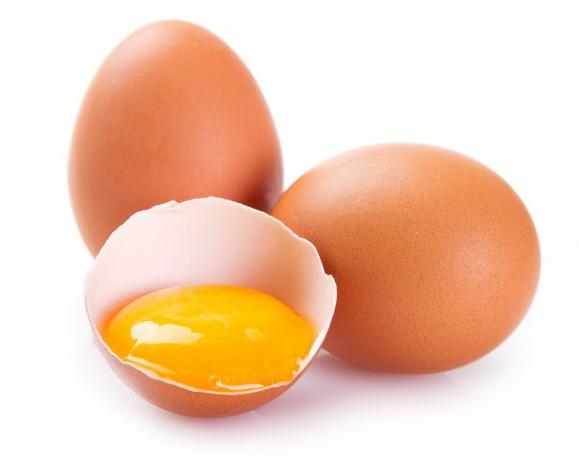 Les œufs de poule